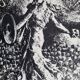 Original poster of May 68, "the sower" demonstrator, after Oscar Roty