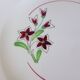 5 flat plates from Salins 210646