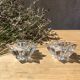 Pair of star candlesticks