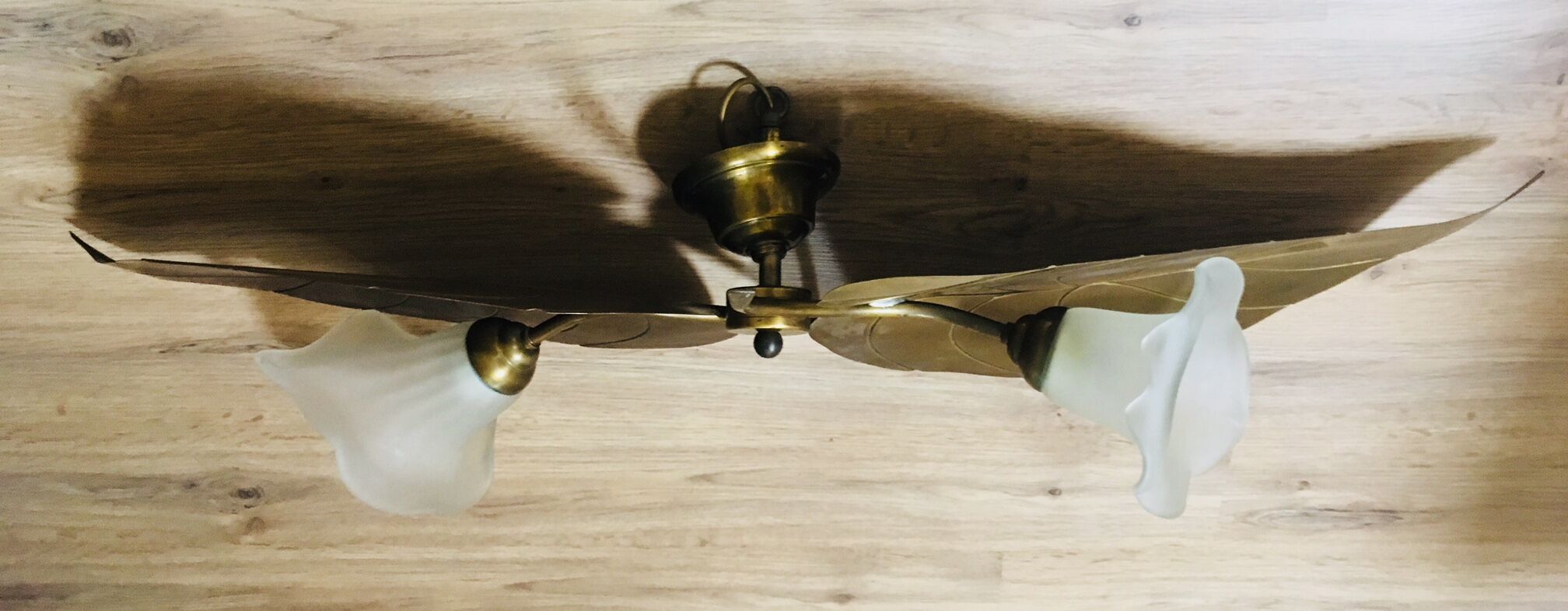 Ceiling light golden foliage