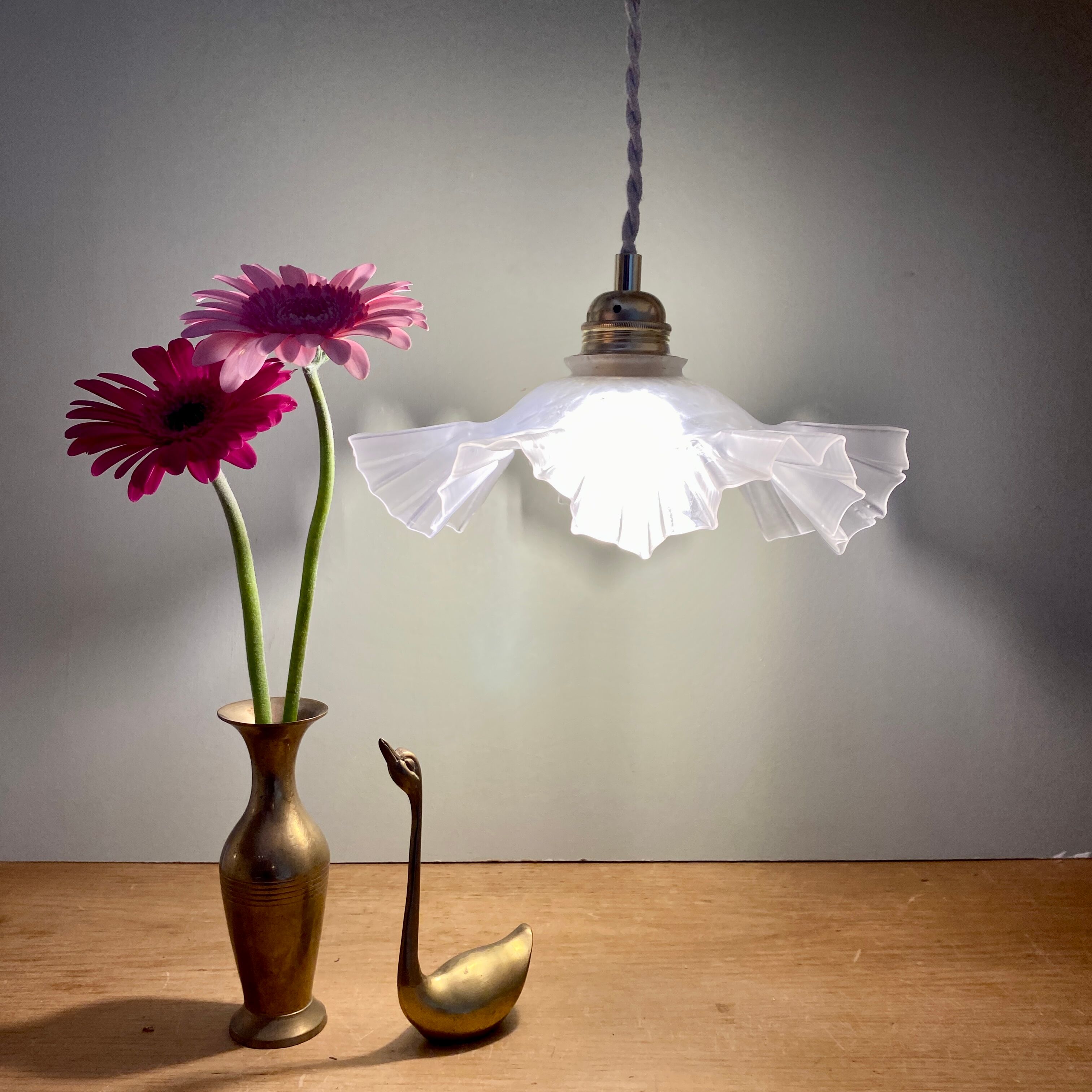 Vintage frosted glass lampshade pendant lamp