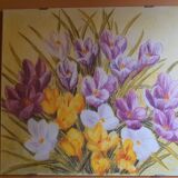 Photo under glass, welcome to spring "crocus fields".