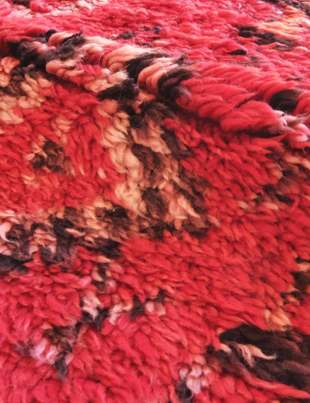 Berber Collector's Rug - 315 x 194 cm