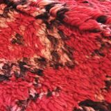 Berber Collector's Rug - 315 x 194 cm