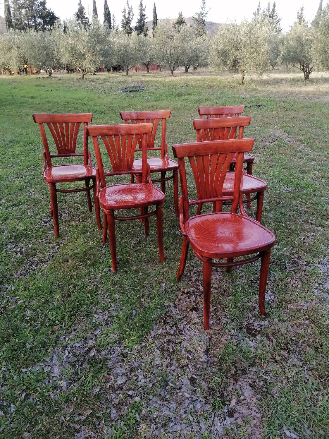 Set of 6 vintage bentwood bistro chairs