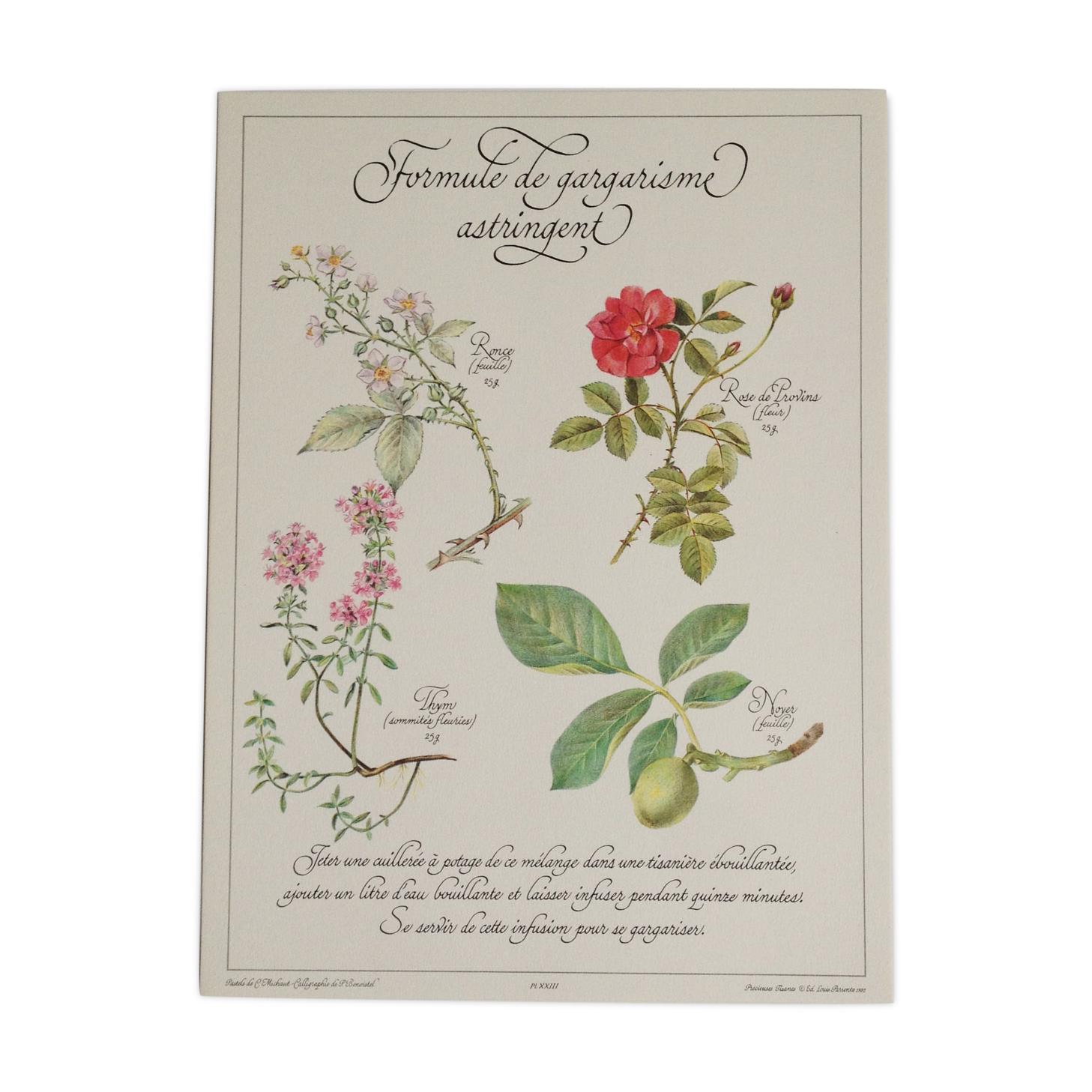 Botanical poster is a tisane