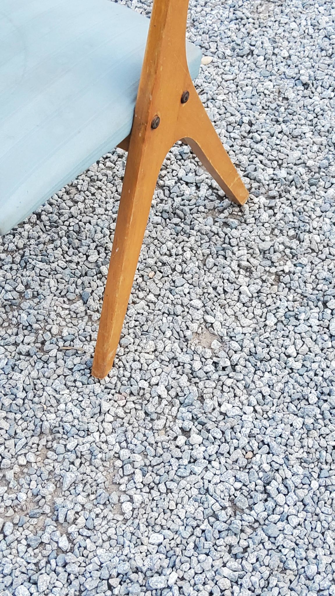 Pair of vintage chairs 50s
