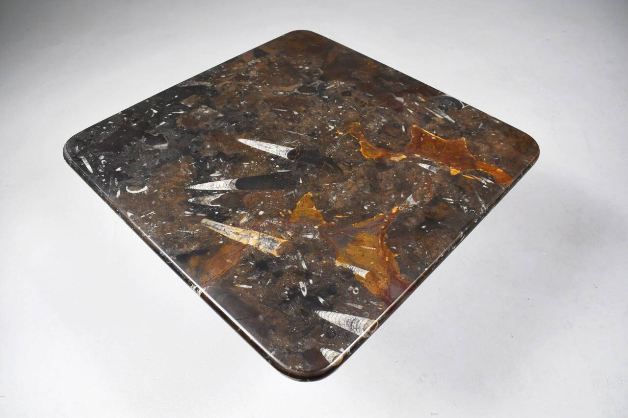 Petite table basse vintage fossilisée, années 1970