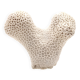 Coral bench on resin base, 1970s