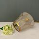 Vintage art deco tulip walker in white and golden frosted glass