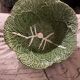 Cabbage salad bowl