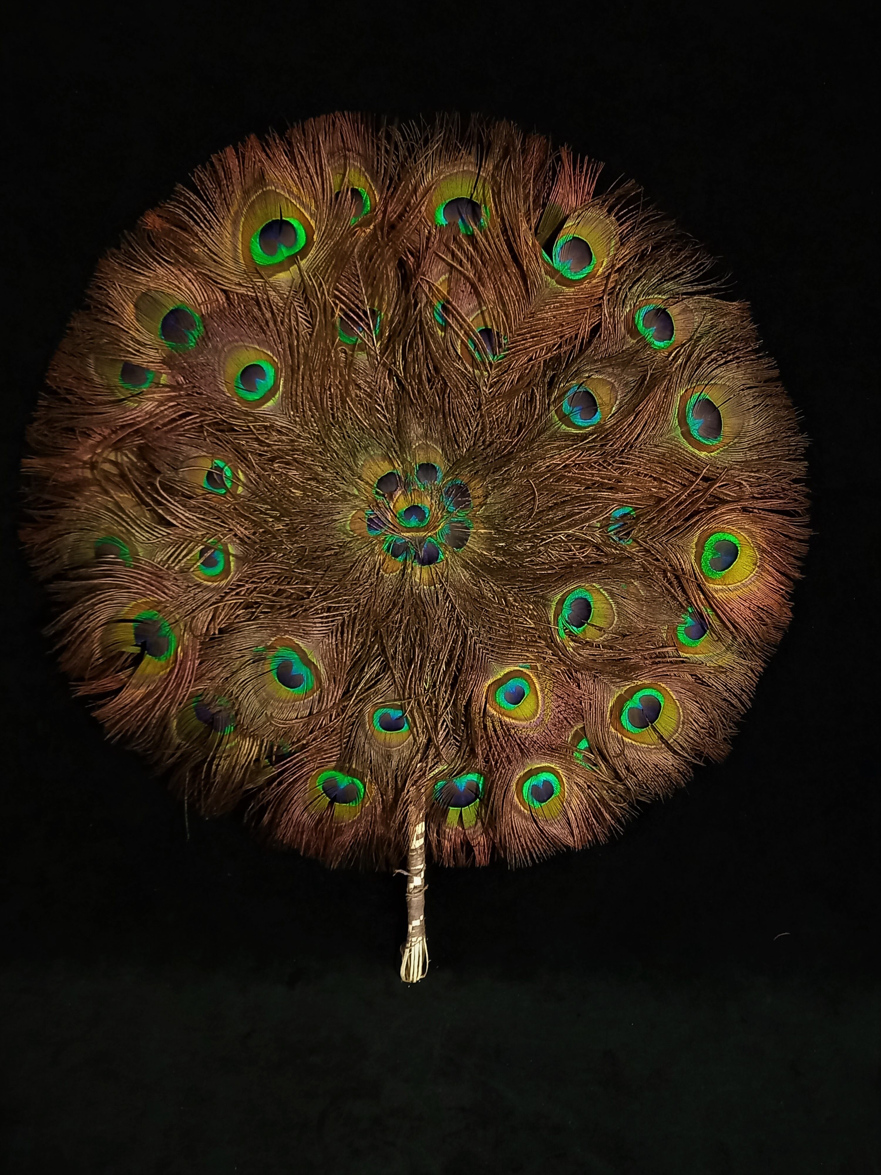 Double-sided peacock feathered eventail