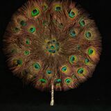 Double-sided peacock feathered eventail