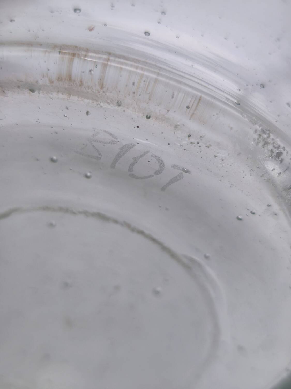 Large BIOT vase in bubble glass – Trumpet shape – 1960s – 29 cm