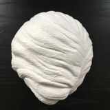 Romantic young man bust