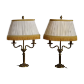 Pair bronze hot water bottles