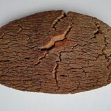 Raw cork bark tray