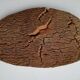 Raw cork bark tray