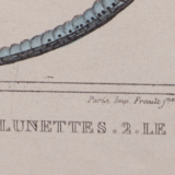 Lithography engraving vintage snakes - 1850