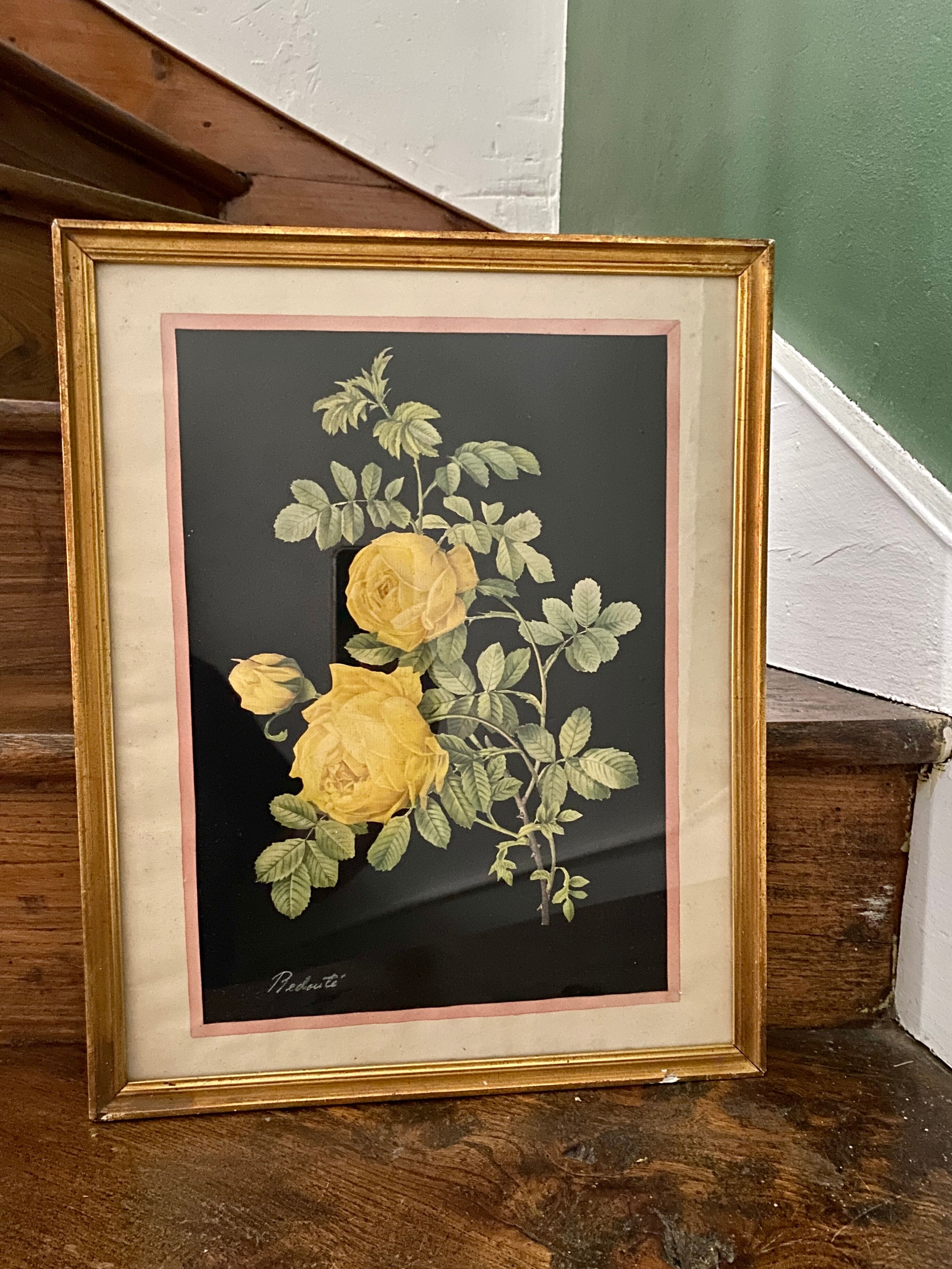 Framed poster vintage pinks yellow feared