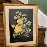 Framed poster vintage pinks yellow feared