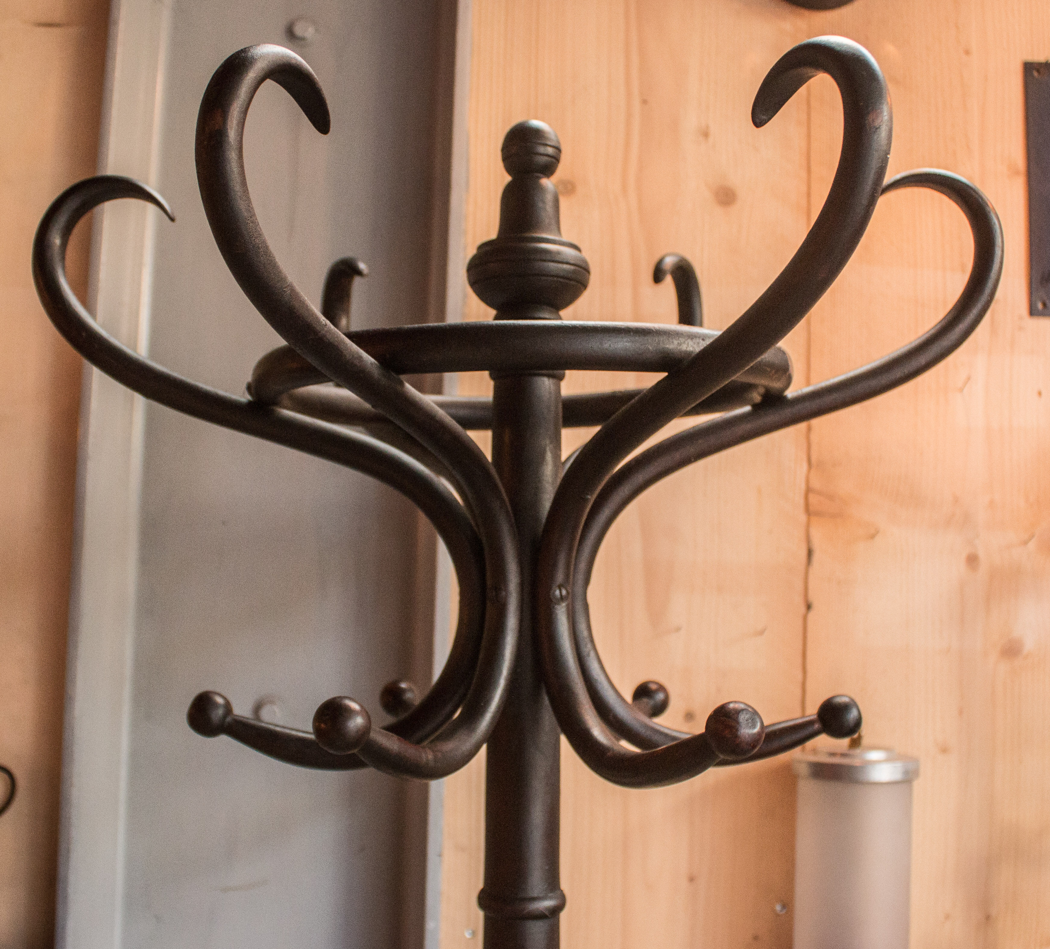 Parrot Thonet bentwood coatrack