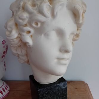 Young Bacchus head after Bartholdi
