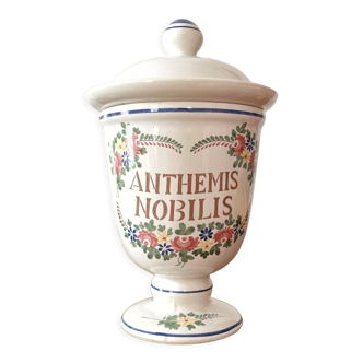 Apothecary pot Anthemis Nobilis, earthenware of Saint Clement