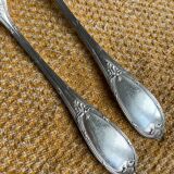 Fork and spoon set in silver metal