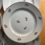 6 dessert plates