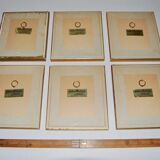 Set of 6 Small Botanical Flower Engravings
