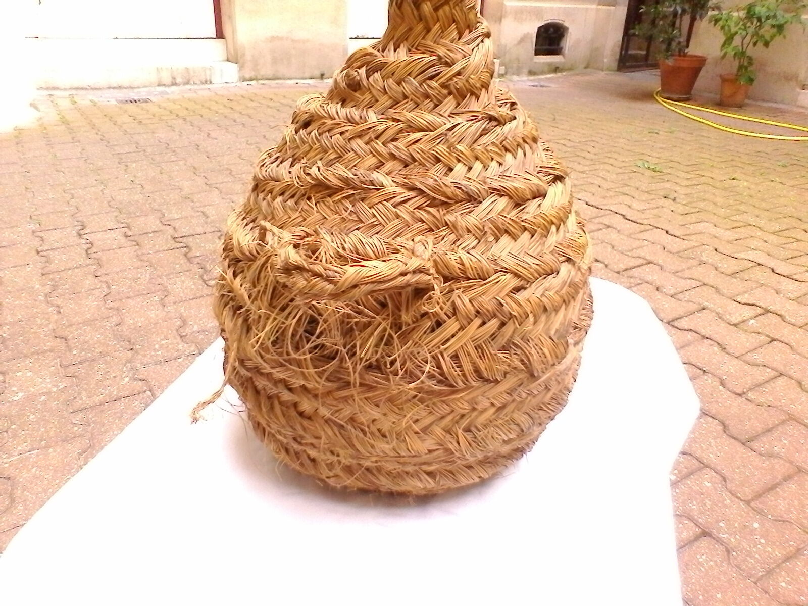 Dame Jeanne in her case