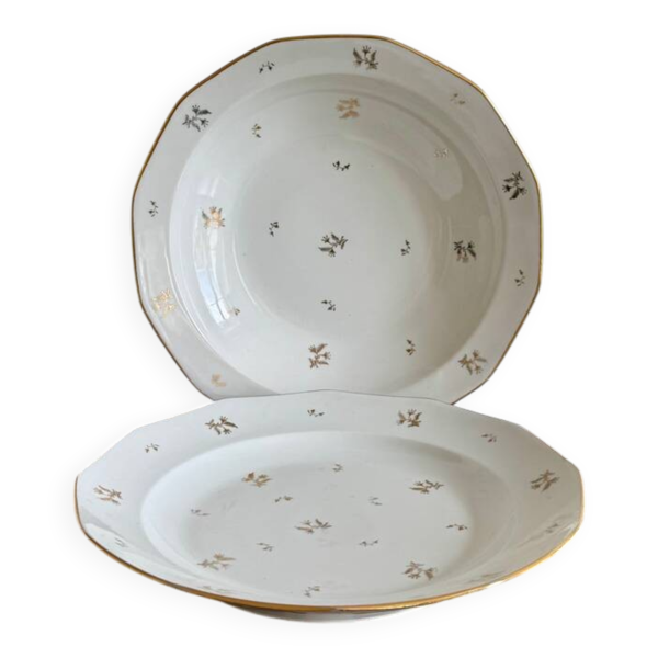 Plats en porcelaine de Limoges