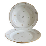 Limoges porcelain dishes