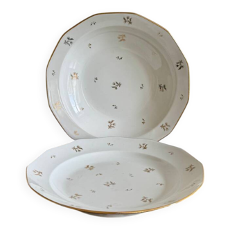 Limoges porcelain dishes
