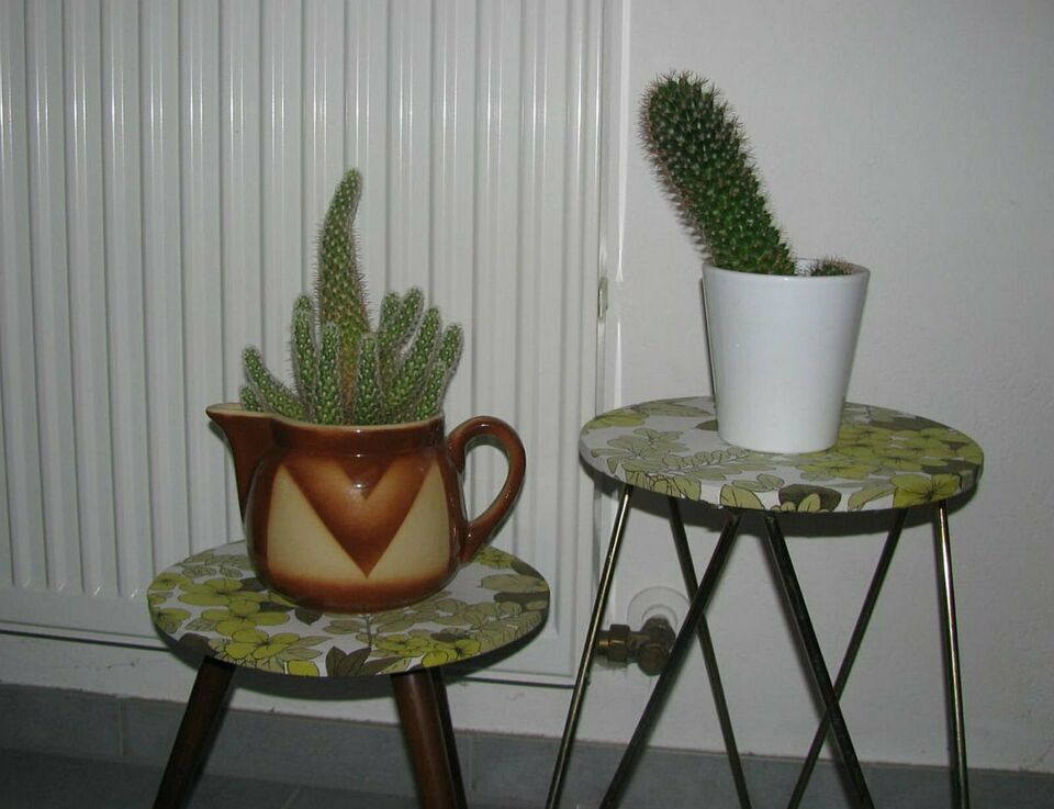 Plants holder, 1970
