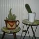 Plants holder, 1970