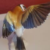G. granget porcelain bird