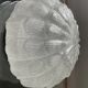 Vintage frosted glass wall or ceiling light