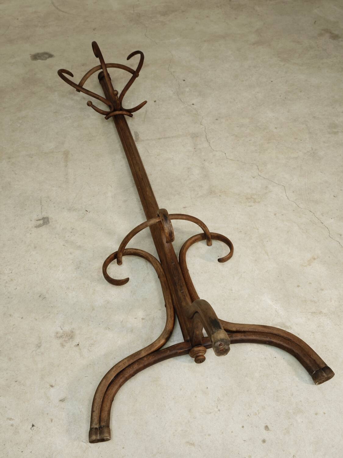 Thonet No. 1 Parrot Coat Rack on Wall, 1900s