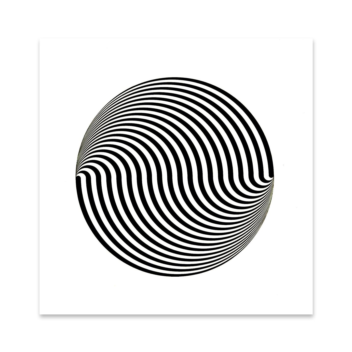 Marina Apollonio: Dinamica Circolare