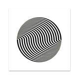 Marina Apollonio: Dinamica Circolare