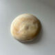 Fossilised shell