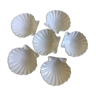 Coquilles saint jacques porcelaine