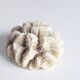 White coral, 70s