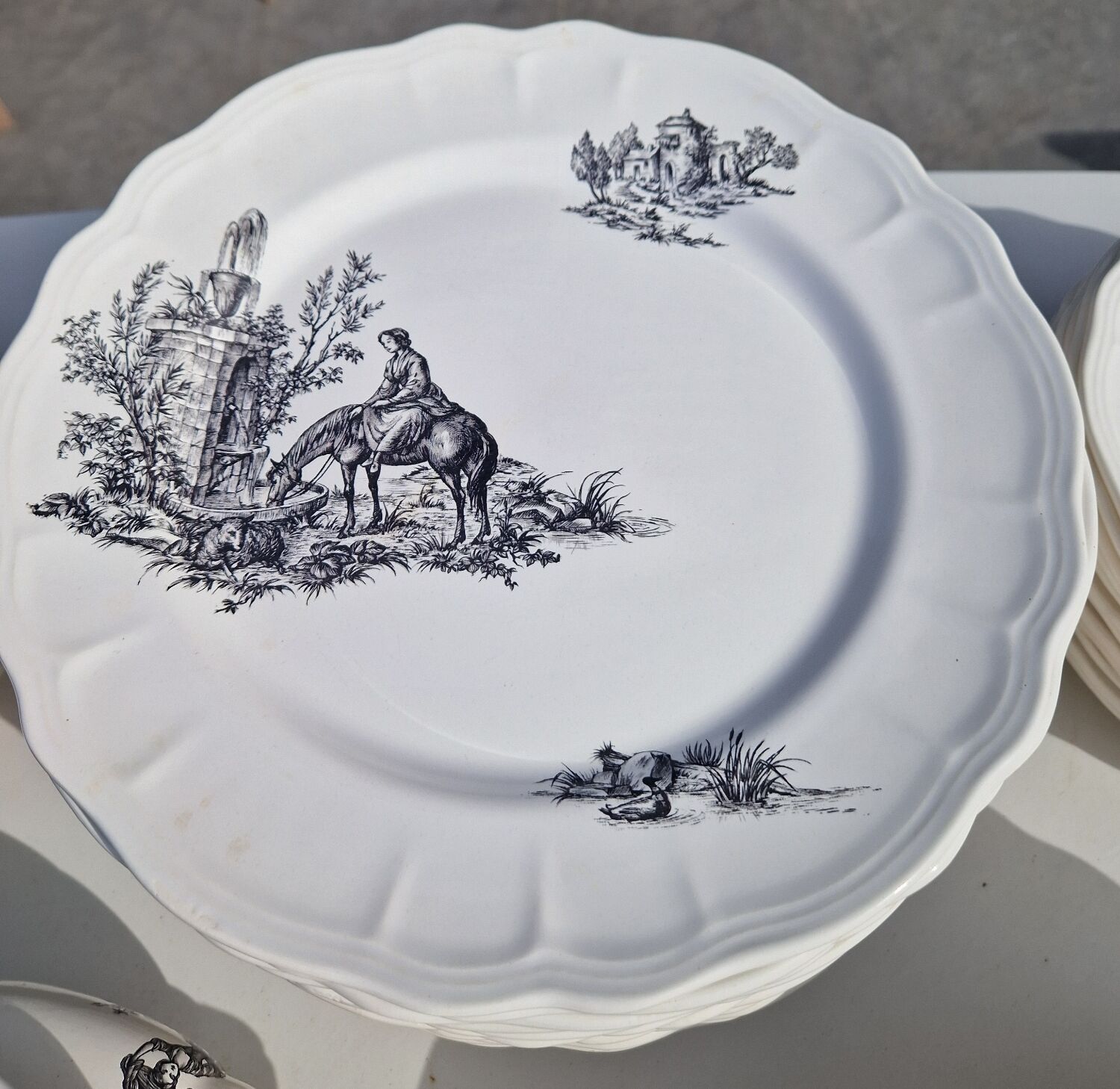 Salins earthenware table service model Chantal, 55 pieces.