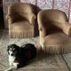 Pair of renovated toad armchairs in beige velvet