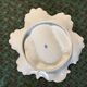 Limoges porcelain oyster plate BH, Art Nouveau botanical decoration.