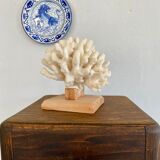 Coral on raw wood base
