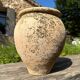 Terracotta paloma pot